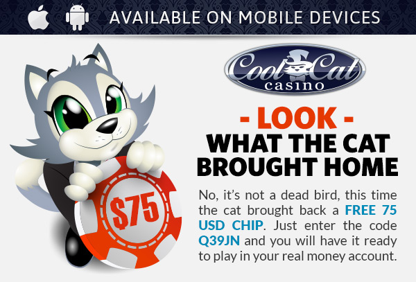 No Deposit Bonus Cool Cat Casino