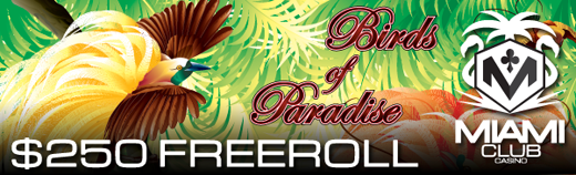 Birds of Paradise Slot Freeroll