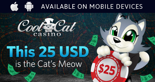 New No Deposit Bonus Cool Cat Casino