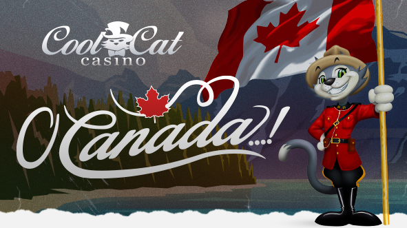 Cool Cat Casino Canadian Casino Bonuses