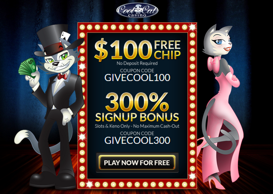 Cool Cat Casino Free Sign Up Bonuses