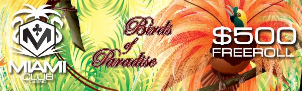 Birds of Paradise Slot Freeroll Tournament