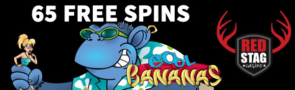 Red Stag Casino Free Spins Bonus Code