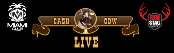 Cash Cow Slot Bonuses