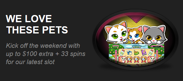 Intertops Casino Purrfect Pets Slot Bonus