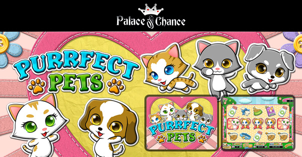 Palace of Chance Casino Purrfect Pets Slot Bonus