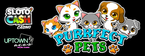 New Purrfect Pets Slot Bonus Coupon Code
