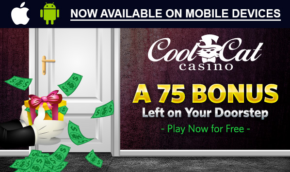 Cool Cat Casino No Deposit Bonus $ FREE Play Now! | Get It Now!