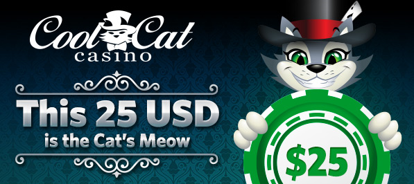 Cool Cat Casino in USA - Online Slots, Login, Play Games for Real Money on Official Website