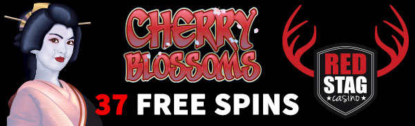 Red Stag Casino Cherry Blossoms Slot Free Spins